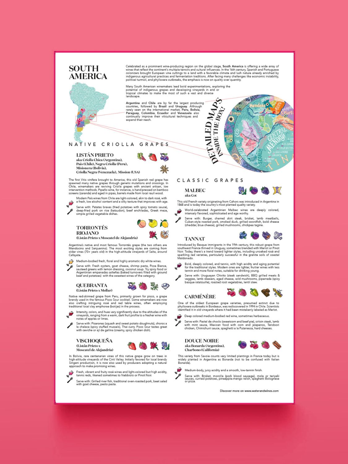 South America Wine Puzzle