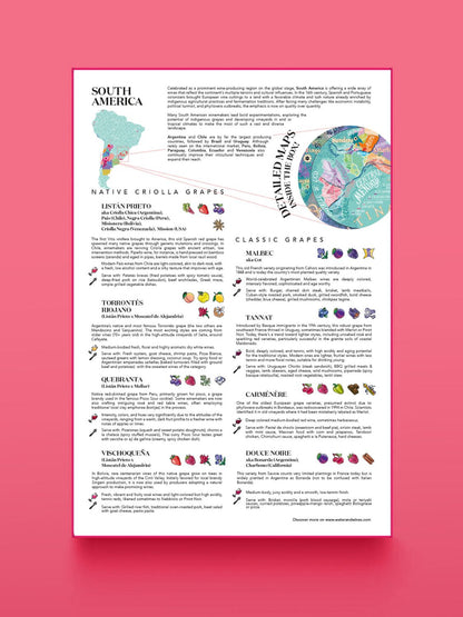 South America Wine Puzzle