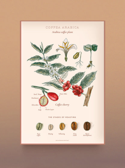 World of Coffee Puzzle