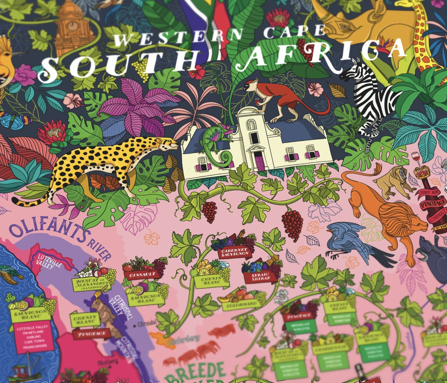 Poster - South Africa Wine Map